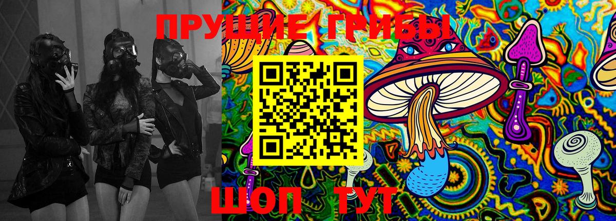 Псилоцибиновые грибы Psilocybe Орск